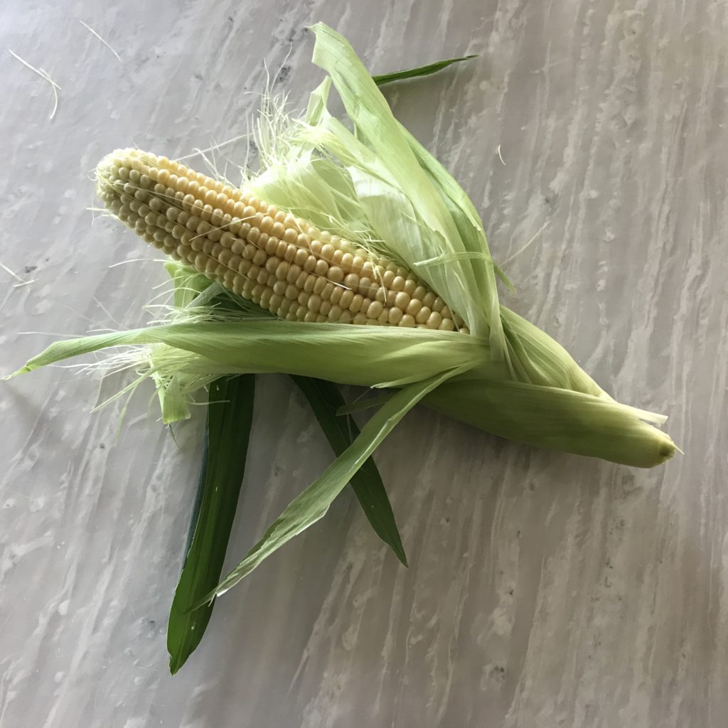 とうもろこし19