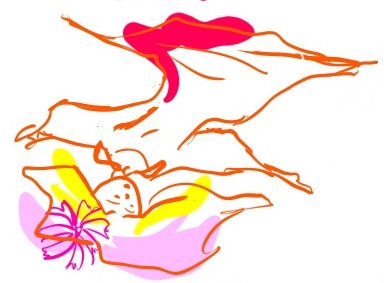 コスモス　シンシア04