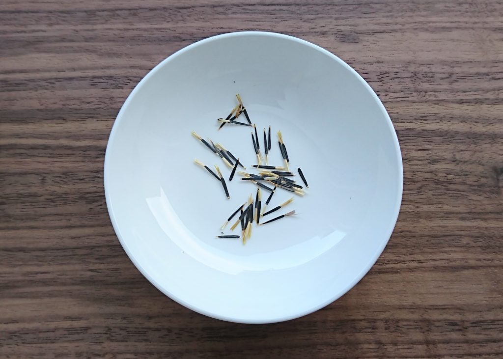 マリーゴールド　種