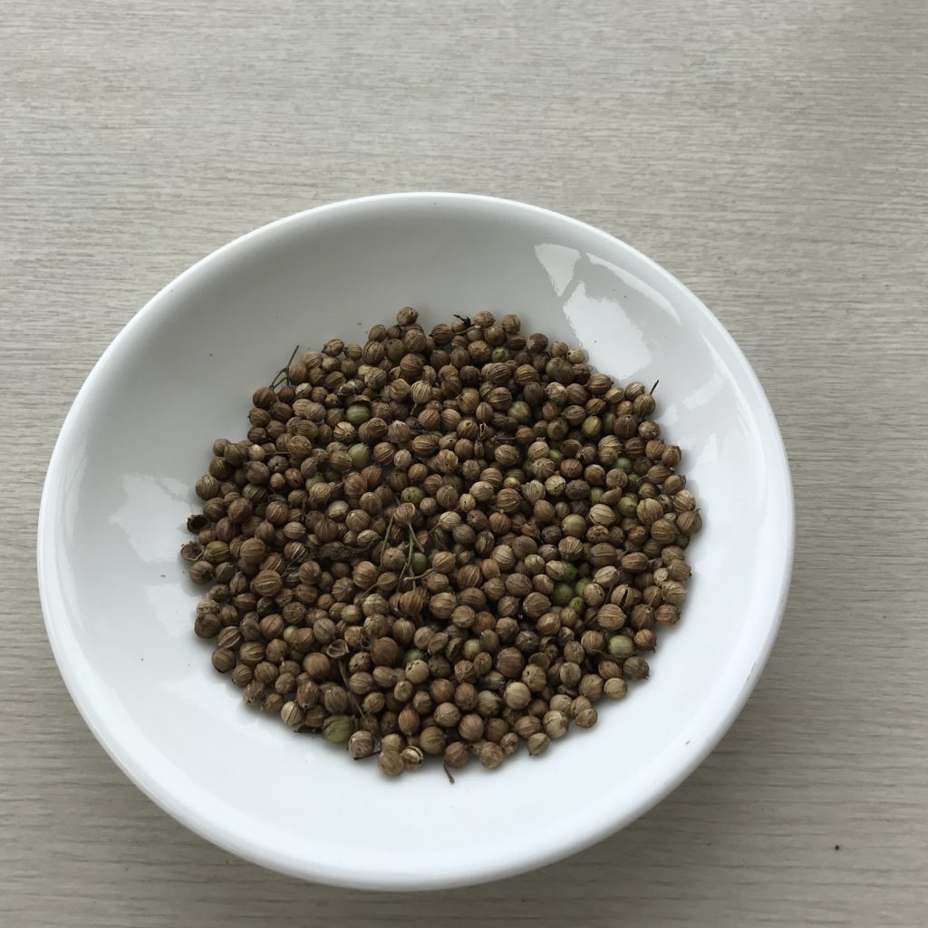 パクチー　収穫した種