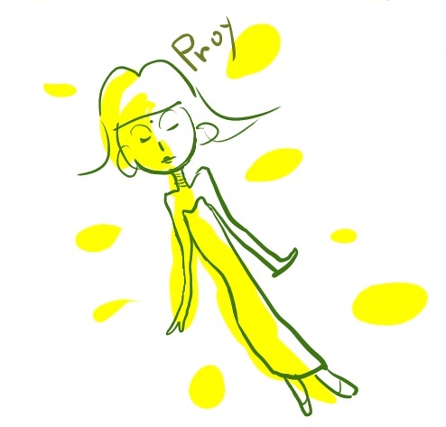 corianderプロイ01