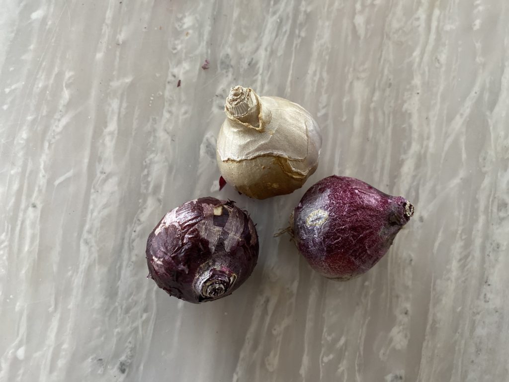 ヒヤシンス　球根